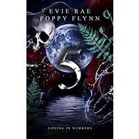 Five by Evie Rae PDF ePub Audio Boook Summary