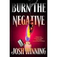 Burn the Negative by Josh Winning PDF ePub Audio Book Summary