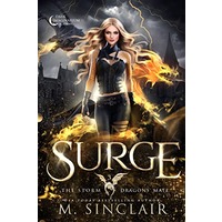 Surge by M. Sinclair PDF ePub Audio Book Summary