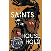 Saints of the Household by Ari Tison PDF ePub Audio Book Summary