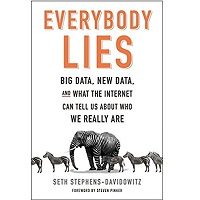 Everybody Lies by Seth Stephens Davidowitz PDF Book Free Download