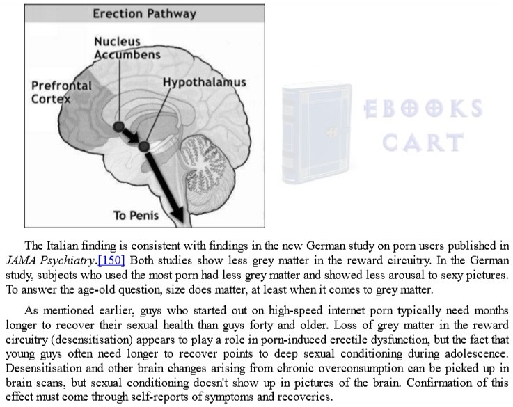 Your Brain on Porn by Gary Wilson PDF Book Overview