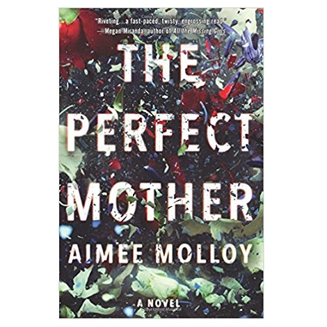 The Perfect Mother by Aimee Molloy PDF Download