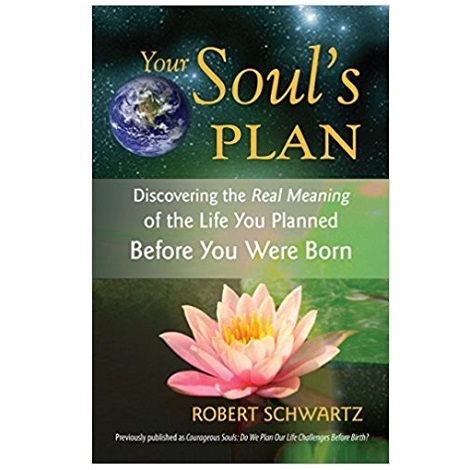Your Soul's Plan PDF Download