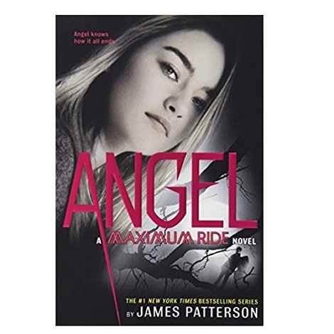 Angel: A Maximum Ride Novel by James Patterson PDF 