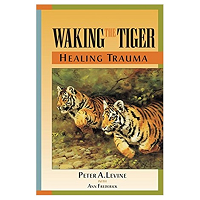 Waking the Tiger by Peter PDF