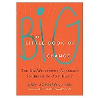 The Little Book of Big Change by Amy Johnson ePub
