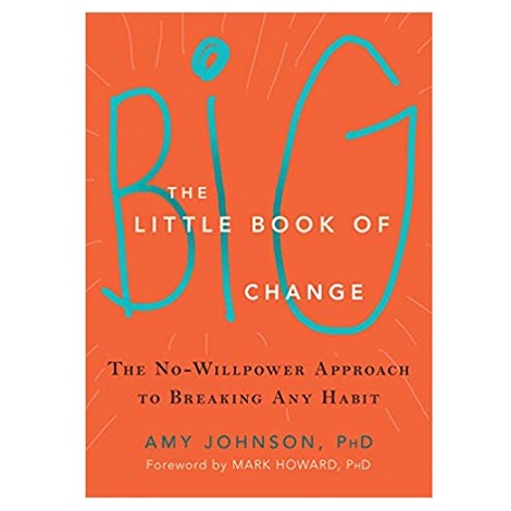 The Little Book of Big Change by Amy Johnson ePub
