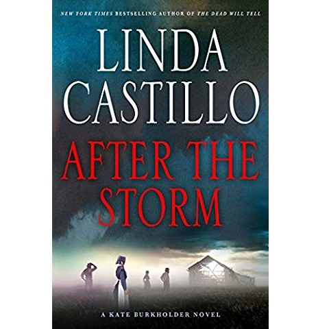 After the Storm by Linda Castillo PDF Free Download