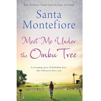 Meet Me Under the Ombu Tree by Santa Montefiore ePub