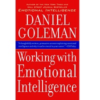 Download Working with Emotional Intelligence by Daniel Goleman PDF