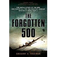 The Forgotten 500 by Gregory A. Freeman PDF