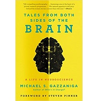 Tales from Both Sides of the Brain by Michael S. Gazzaniga PDF