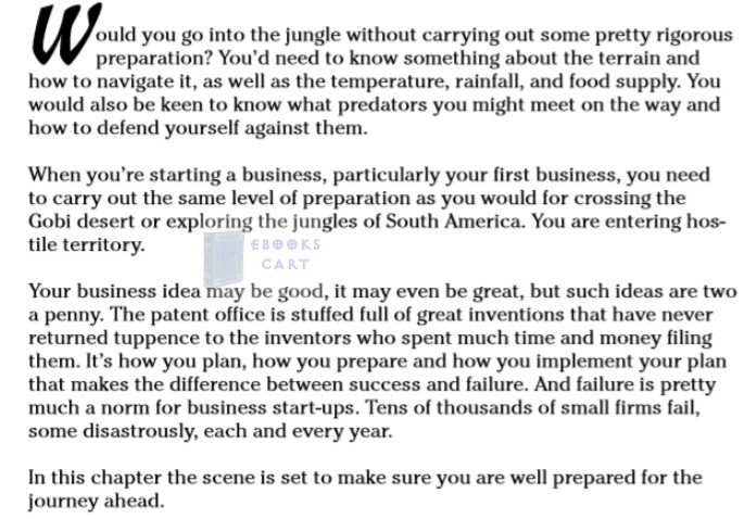 Starting a Business All-In-One For Dummies by Consumer Dummies epub Download