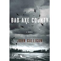 Bad Axe County by John Galligan PDf