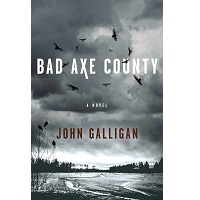 Bad Axe County by John Galligan PDf