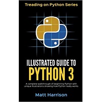 Illustrated Guide to Python 3 by Matt Harrison PDF