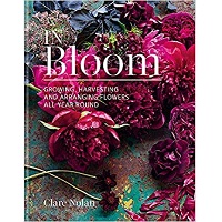 In Bloom by Clare Nolan PDF