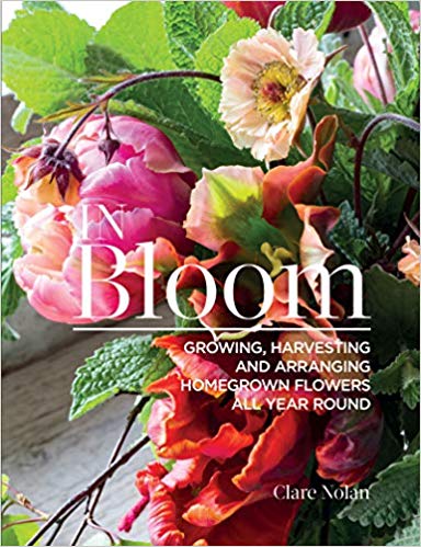 In Bloom by Clare Nolan ePub Download