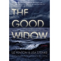 The Good Widow by Liz Fenton PDF