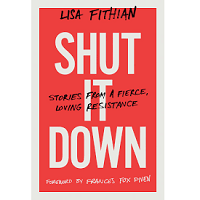 Shut It Down by Lisa Fithian PDF