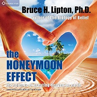 The Honeymoon Effect by Bruce H. Lipton PDF Download