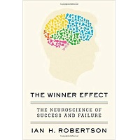 The Winner Effect by Ian H. Robertson PDF