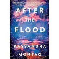 After the Flood by Kassandra Montag PDF Download