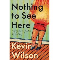 Nothing to See Here by Kevin Wilson PDF