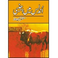Undlas Main Ajnabi by Mustansar Hussain Tarar PDF