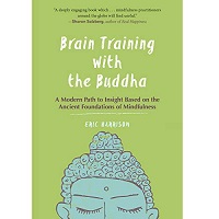 Brain Training with the Buddha by Eric Harrison PDF