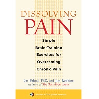 Dissolving Pain by Les Fehmi PDF