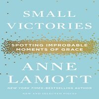 Small Victories by Anne Lamott PDF Download