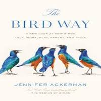 the bird way ackerman