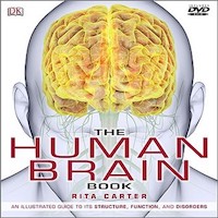 The Human Brain Book by Rita Carter PDF Download