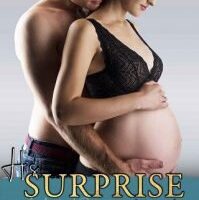 His Surprise Baby by Jamie Knight