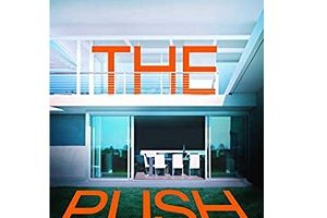 The Push by Claire McGowan