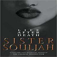 Life After Death by Sister Souljah PDF