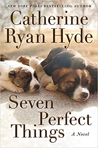 Seven Perfect Things by Catherine Ryan Hyde PDF