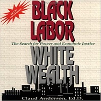 Black Labor, White Wealth by Claud Anderson