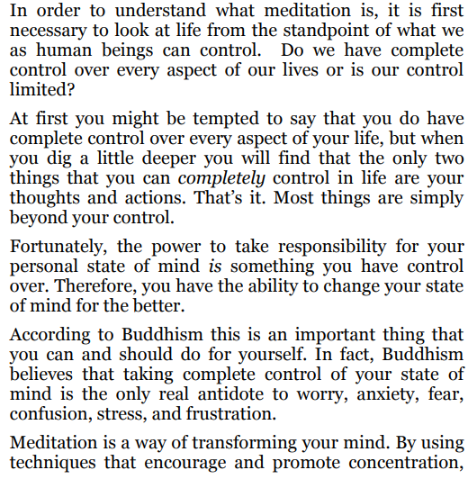 ebook Meditation for Beginners by Yesena Chavan PDF