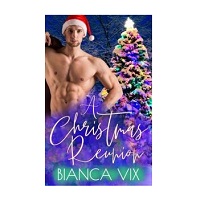 A Christmas Reunion by Bianca Vix