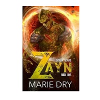 Zayn by Marie Dry