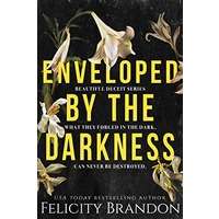 Enveloped By The Darkness by Felicity Brandon PDF ePub Audio Book Summary