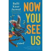 Now You See Us by Balli Kaur Jaswal PDF ePub Audio Book Summary