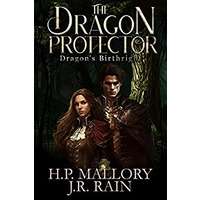 The Dragon Protector by J.R. Rain PDF ePub Audio Book Summary