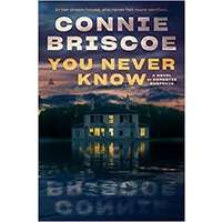 You Never Know by Connie Briscoe PDF ePub Audio Book Summary