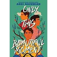 Only This Beautiful Moment by Abdi Nazemian PDF ePub Audio Book Summary