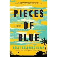 Pieces of Blue by Holly Goldberg Sloan PDF ePub Audio Book Summary