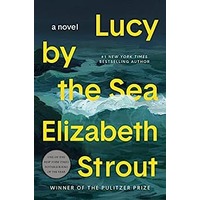Lucy by the Sea by Elizabeth Strout PDF ePub Audio Book Summary
